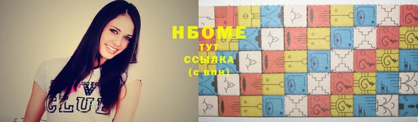 мет Алексин