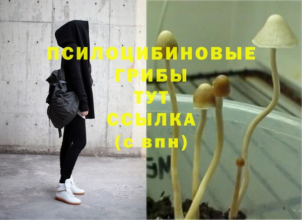мет Алексин